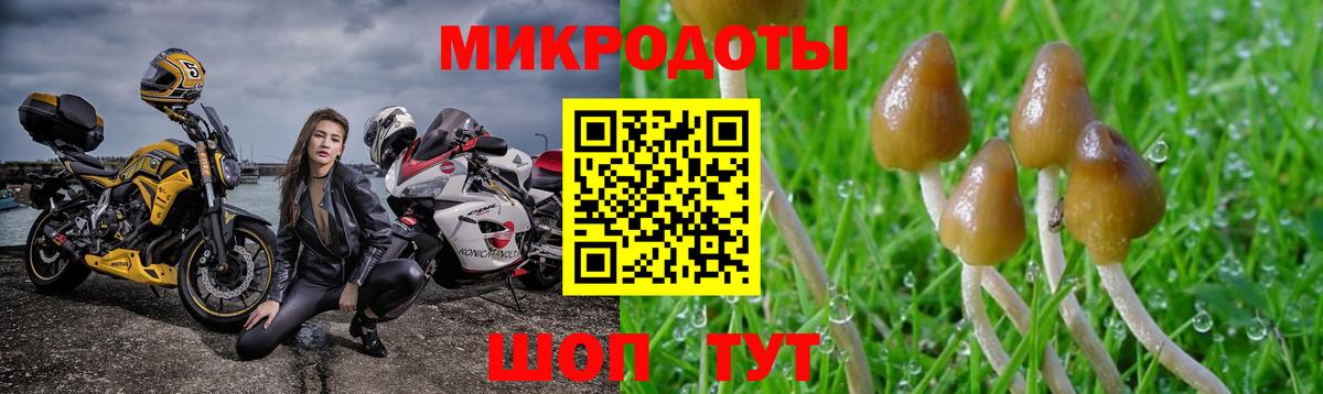 Галлюциногенные грибы прущие грибы Киселёвск