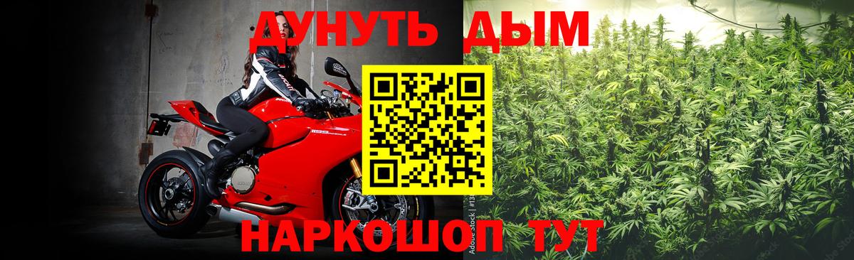 Канабис Amnesia Киселёвск