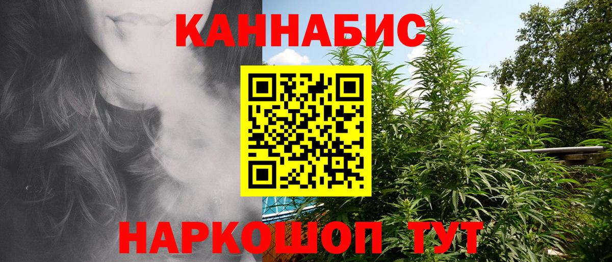 Каннабис сатива  Бошки Шишки конопля  Вход с VPN  МАРИХУАНА MAZAR  Киселёвск  МАРИХУАНА планчик 